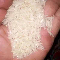 طارم|خوردنی و آشامیدنی|کردکوی, |دیوار