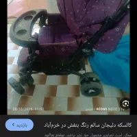 کالسکه و کریر دلیجان