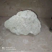 سنگ اکواریوم|ماهی|تهران, افسریه شمالی|دیوار