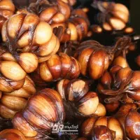 سیر ترشی امساله ب علت نیاز ۹۰هزارتومان نقد