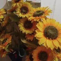 گل آفتابگردون و گل ارکیده|گل مصنوعی|رشت, کوی عرفان|دیوار