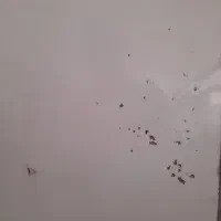 تخته وایت برد