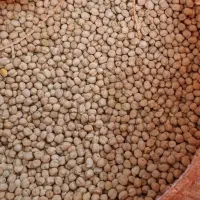 احبوبات به قیمت عمده عدس ۱۱۰ چیتی ۲۶۰ لپه ۲۱۰|خوردنی و آشامیدنی|اسلامشهر, زرافشان|دیوار