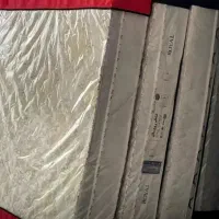 تشک مدل حالت پذیر کمر و گردن رویال