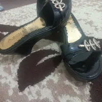 دمپایی زنانه|کیف، کفش، کمربند|اردبیل, |دیوار