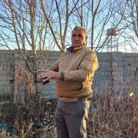 نهال فروشی همراهی