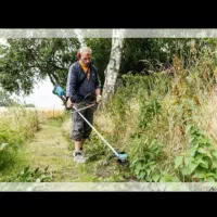 انجام کلیه خدمات باغبانی و نظافت راه پله