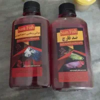 ماهی‌گوپی