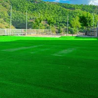 عرضه (مستقیم) چمن مصنوعی|مصالح و تجهیزات ساختمان|ری, شهید بهشتی|دیوار