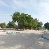 راهنمایی شیخ مسلم کعبی