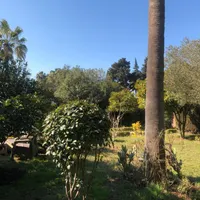 مشارکت در ساخت/زمین/فرهنگشهر/نزدیک دریا