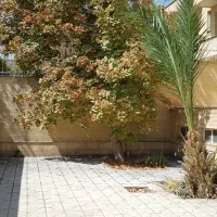 رهن حیاط دار ۳ خوابه تمیز ۲۸۰ متر بلوار چمران|اجارهٔ خانه و ویلا|شیراز, ابیوردی|دیوار