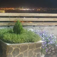 داوطلب گل و گیاه آپارتمانی شما