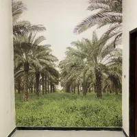 نصاب کاغذدیواری،پوستر،نقاشی اجرای رنگ،دکوراتیو