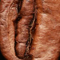 قهوه عمده|خوردنی و آشامیدنی|تهران, تجریش|دیوار