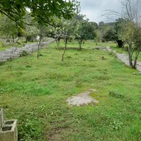 فروش زمین مسکونی پلاک صفرجنگل وپلاک 2جاده اصلی