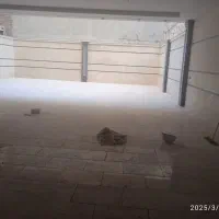 سنگکاری وبنایی ( به صورت روزمزد )|خدمات پیشه و مهارت|مشهد, بهمن|دیوار