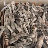 ذغال پسته رفسنجان