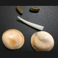 مهره