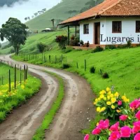 نظافتچی خانم و اشپزی منزل مسکونی