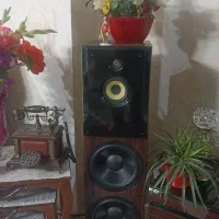 دوعدد باندسالم وشیک