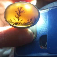 تعدادی انگشتر نقره شجر یاقوت اوپال سنگین وزن|جواهرات|اصفهان, کساره|دیوار