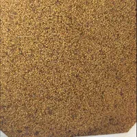 بذر یونجه دانه درشت|خدمات باغبانی و درختکاری|کامیاران, |دیوار