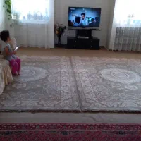 رهن-و-اجاره-آپارتمان-کوی-لاله