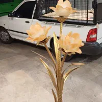 آباژور