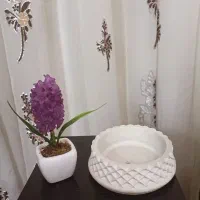 گلدان گل سنبل وگلدان سفالی کوچک نو فقط۲۳۰ت|حراج|شیراز, شهرک مطهری|دیوار