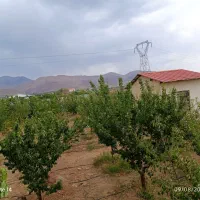 فروش-باغ-900-متری