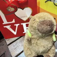 عروسک ولنتاین / هدیه