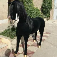 مجسمه جدید|مجسمه، تندیس، ماکت|خرمآباد, |دیوار