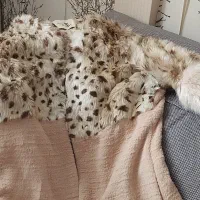 تعدادی لباس زمستانی و بابلیس های اکبند فیلیپس