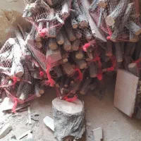 چوب اتیشی.بسته بندی. هیزم  خرید چوب برش چوب