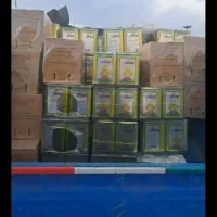 روغن سه گل حلب 5 کیلویی ۲۲۰۰ احمداباد صولت