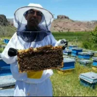 عسل صددرصد طبیعی و خالص بدون هیچ تغذیه ای|خوردنی و آشامیدنی|بردسکن, |دیوار