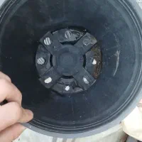 گلدان پلاستیکی|گل و گیاه طبیعی|بندر انزلی, گمرک|دیوار