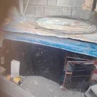 قفس بزرگ مرغ عشق