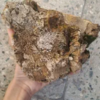 سنگ قیمتی و عجیب