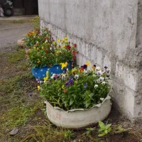 اجاره روزانه/هفتگی/ماهانه آپارتمان ۶۰ متری|اجارهٔ کوتاه‌مدت آپارتمان و سوئیت|پره‌سر, |دیوار