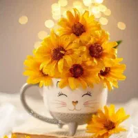 فروش لباس دست دوم