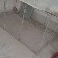 قفس مرغ وجوجه