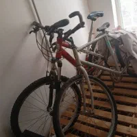 دوچرخه اساک