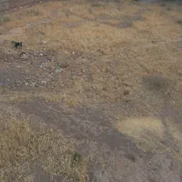 زمین قزلناو پنج راه