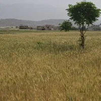 ۱۸۰متر زمین واقع در سراب دوره