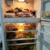 یخچال فریزر|یخچال و فریزر|شیراز, قدوسی غربی|دیوار