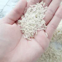 برنج هاشمی درجه یک و اصل|خوردنی و آشامیدنی|پارسآباد, |دیوار