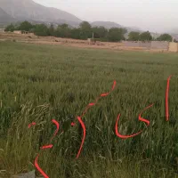 زمین-ای-س-و-نم