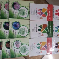 کتاب سیب سبز و پروگنوز دندان پزشکی